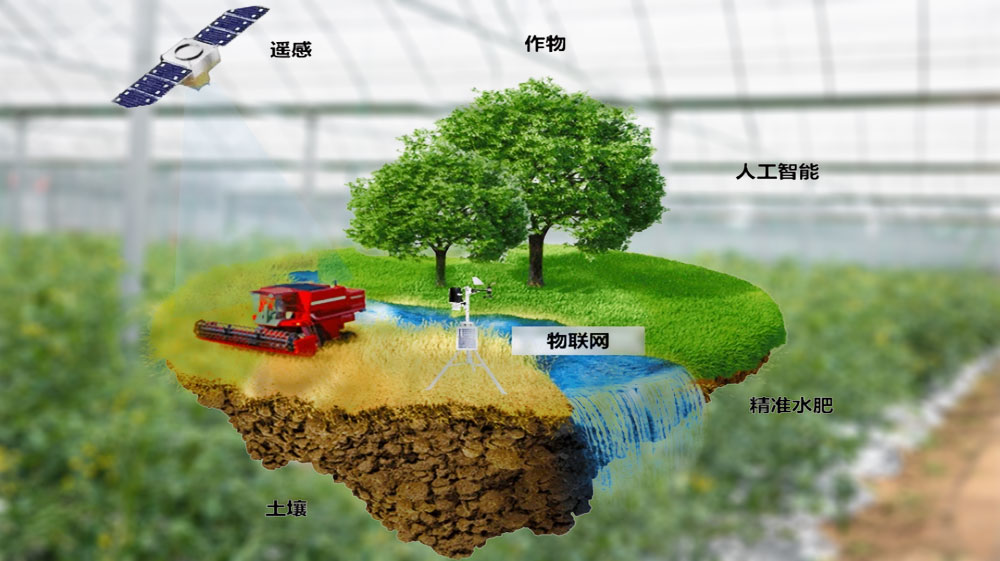 智慧農業系統 智慧農業